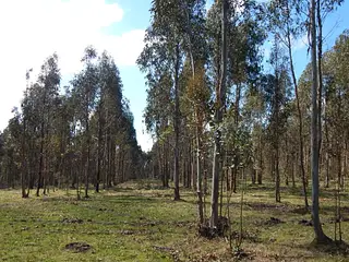 Estación Solís, todas las comodidades