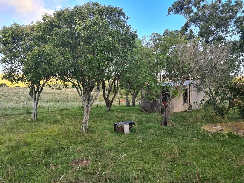 Campo criador limpio con casa