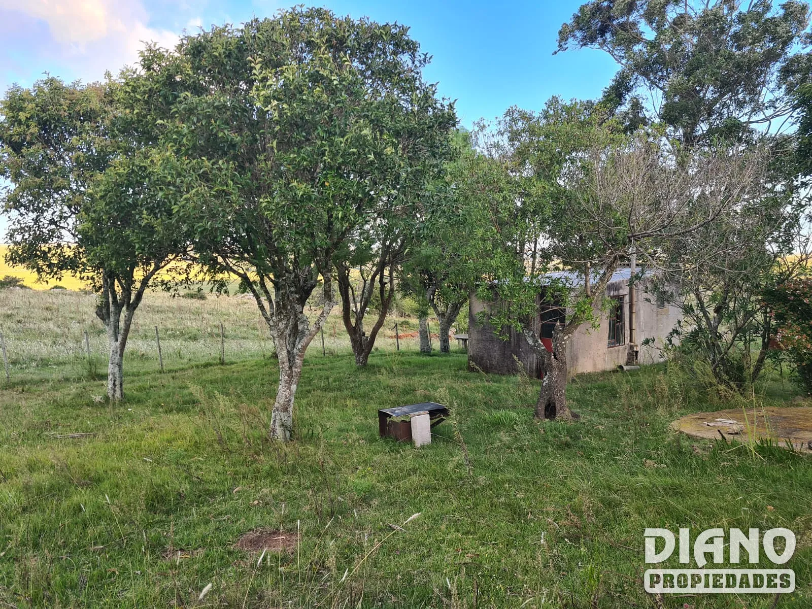 Campo criador limpio con casa