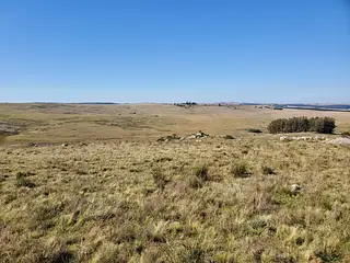 Campo criador limpio con casa