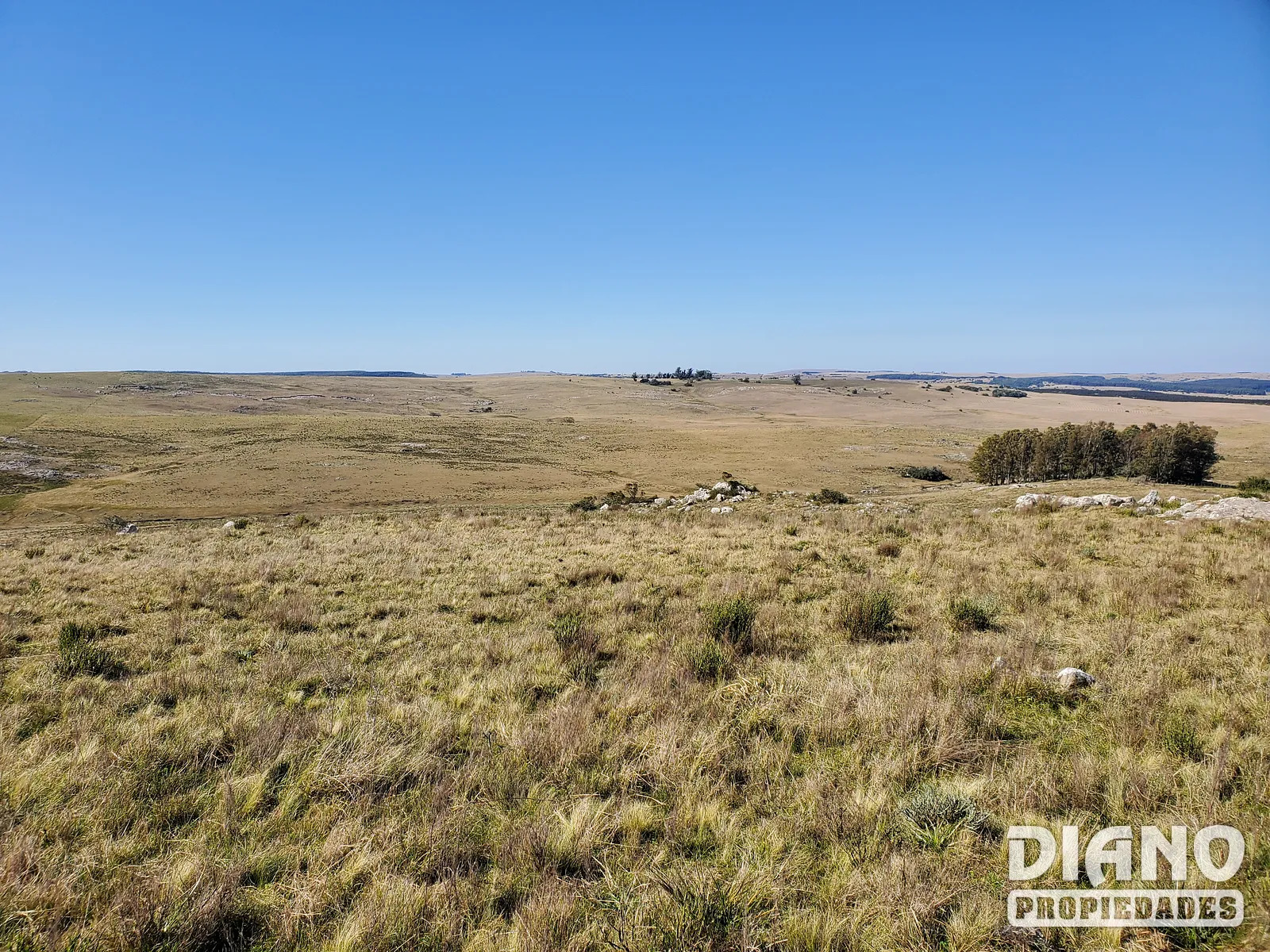 Campo criador limpio con casa