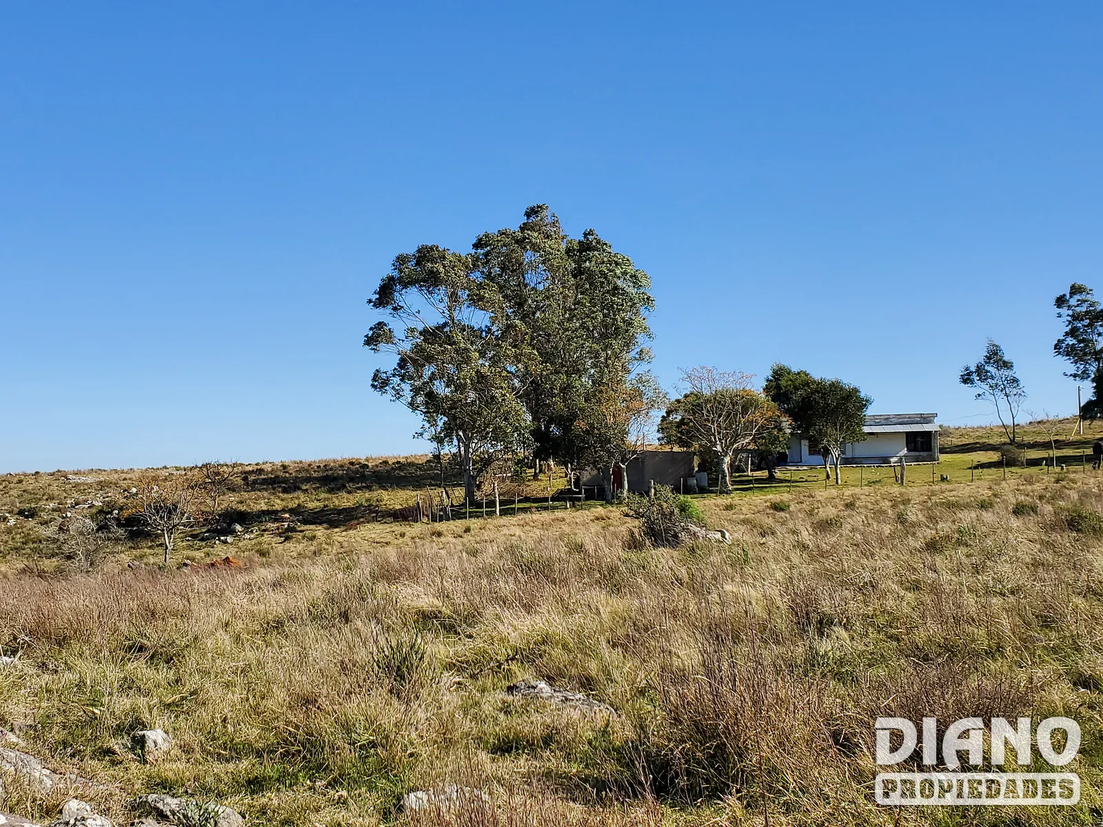 Campo criador limpio con casa