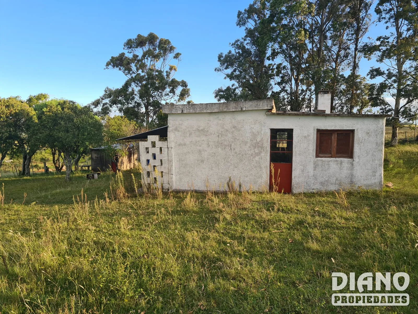 Campo criador limpio con casa