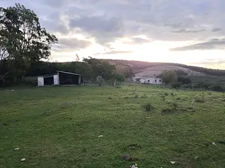Campo forestado con casa