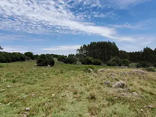 Barriga Negra, campo con arroyo