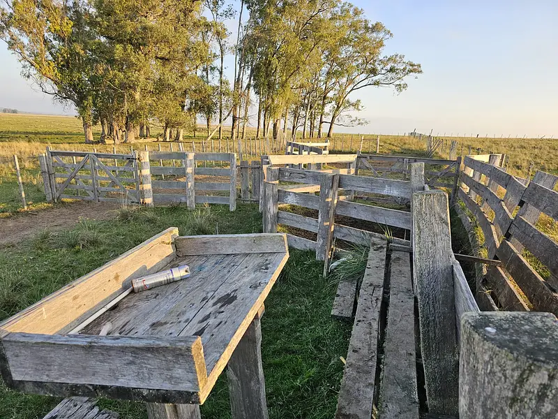 Pirarajá, excelente campo