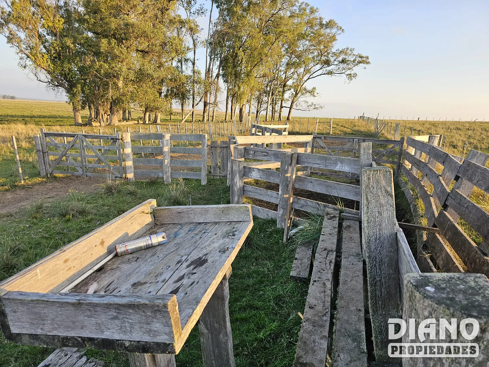 Pirarajá, excelente campo