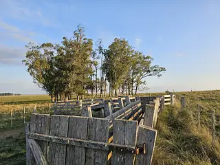 Pirarajá, excelente campo