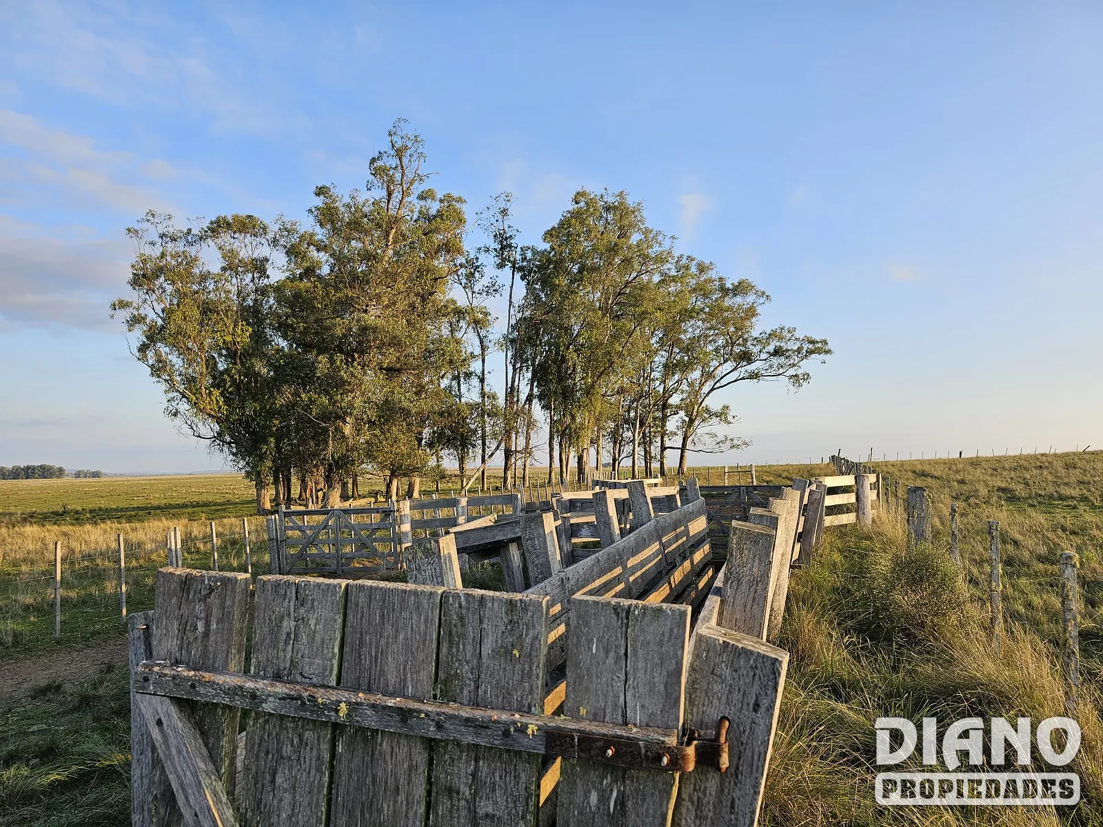 Pirarajá, excelente campo