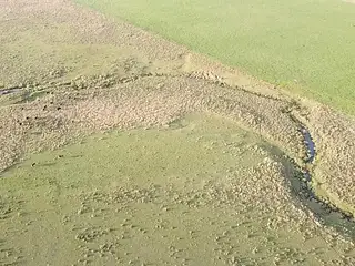 Pirarajá, excelente campo