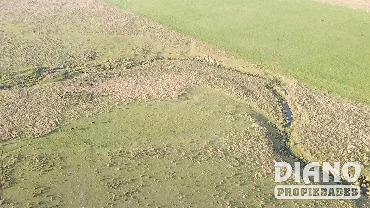 Pirarajá, excelente campo