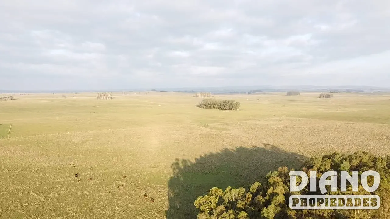 Pirarajá, excelente campo