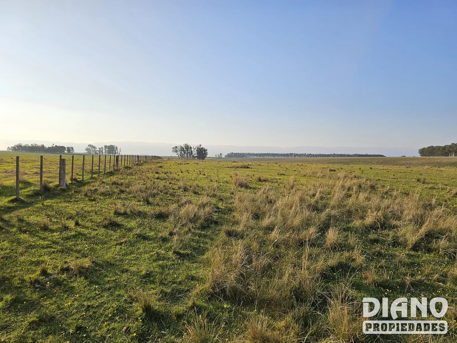 Pirarajá, excelente campo