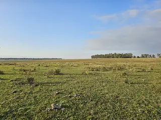 Pirarajá, excelente campo