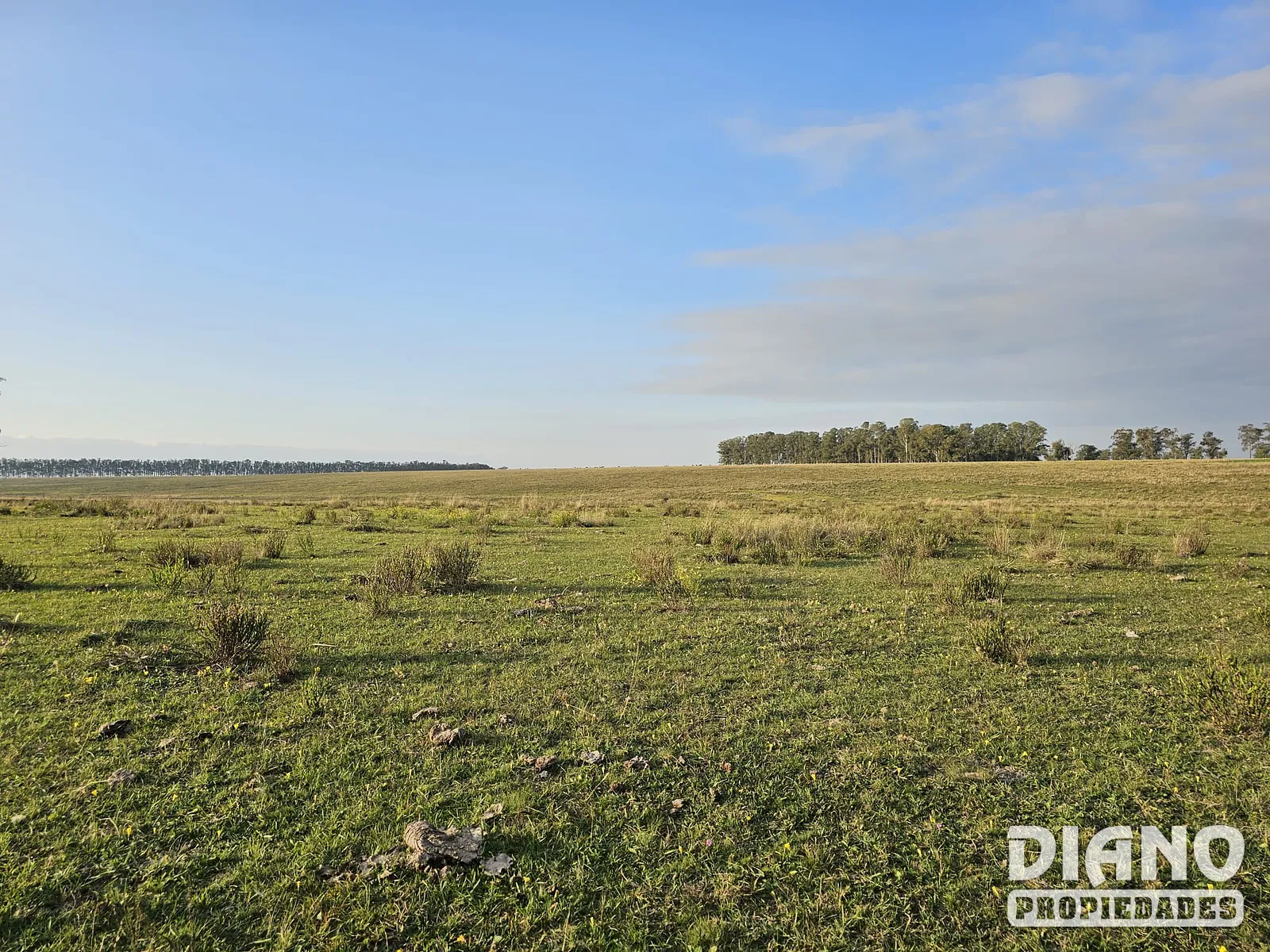 Pirarajá, excelente campo
