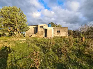 Campo forestado con casa