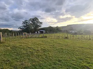 Campo forestado con casa