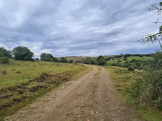 Molles de Aiguá, 40 hás