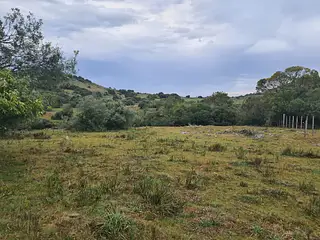Molles de Aiguá, 40 hás