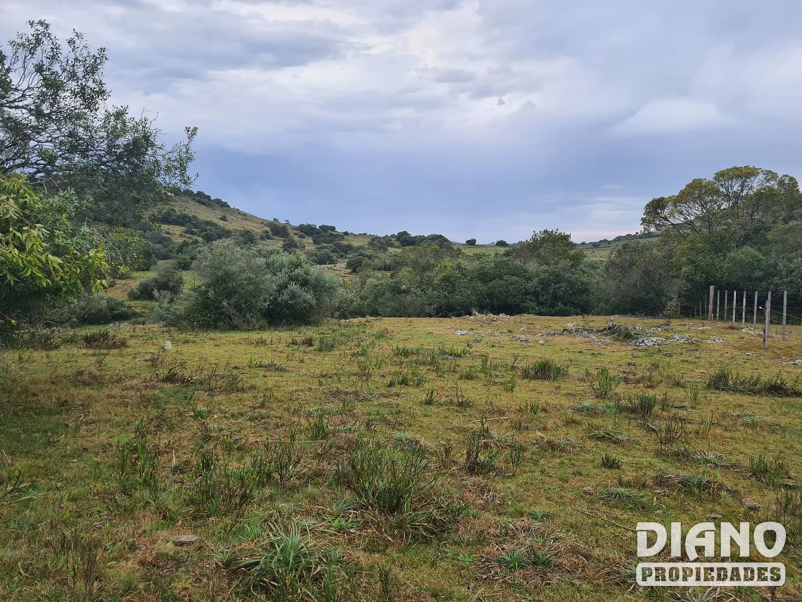 Molles de Aiguá, 40 hás