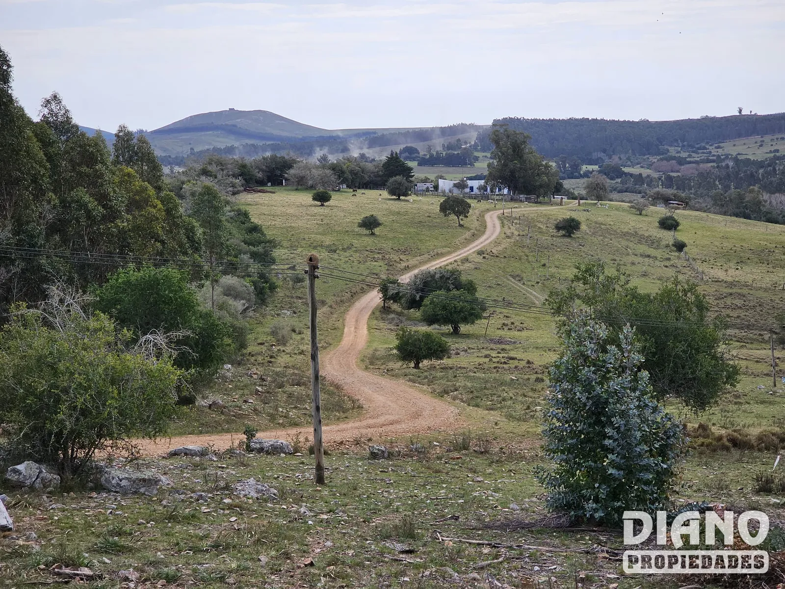 Chacras a 5 minutos de la ciudad