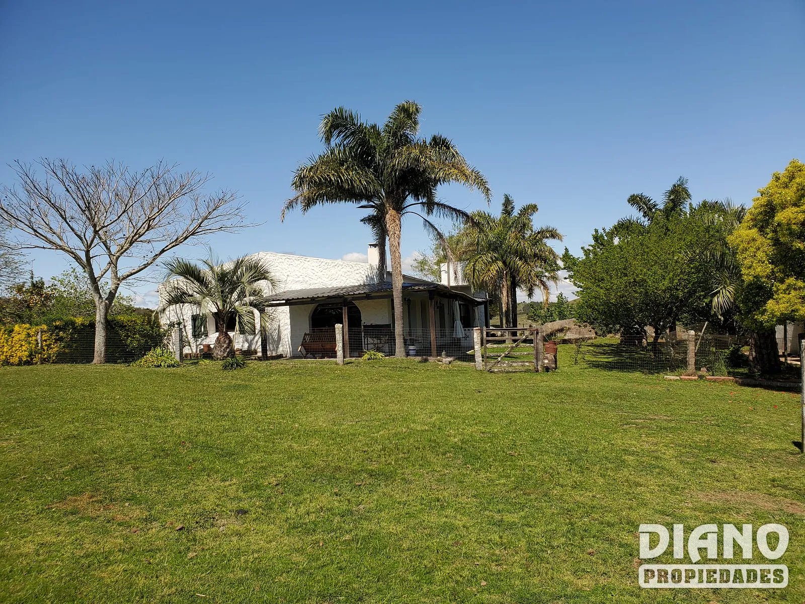 Estancia completa, Polanco