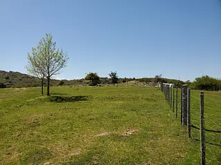 Estancia completa, Polanco