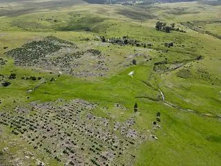 Espuelitas, campo ganadero-forestal