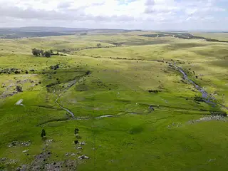 Espuelitas, campo ganadero-forestal
