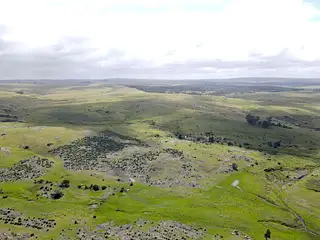 Espuelitas, campo ganadero-forestal