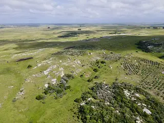 Espuelitas, campo ganadero-forestal