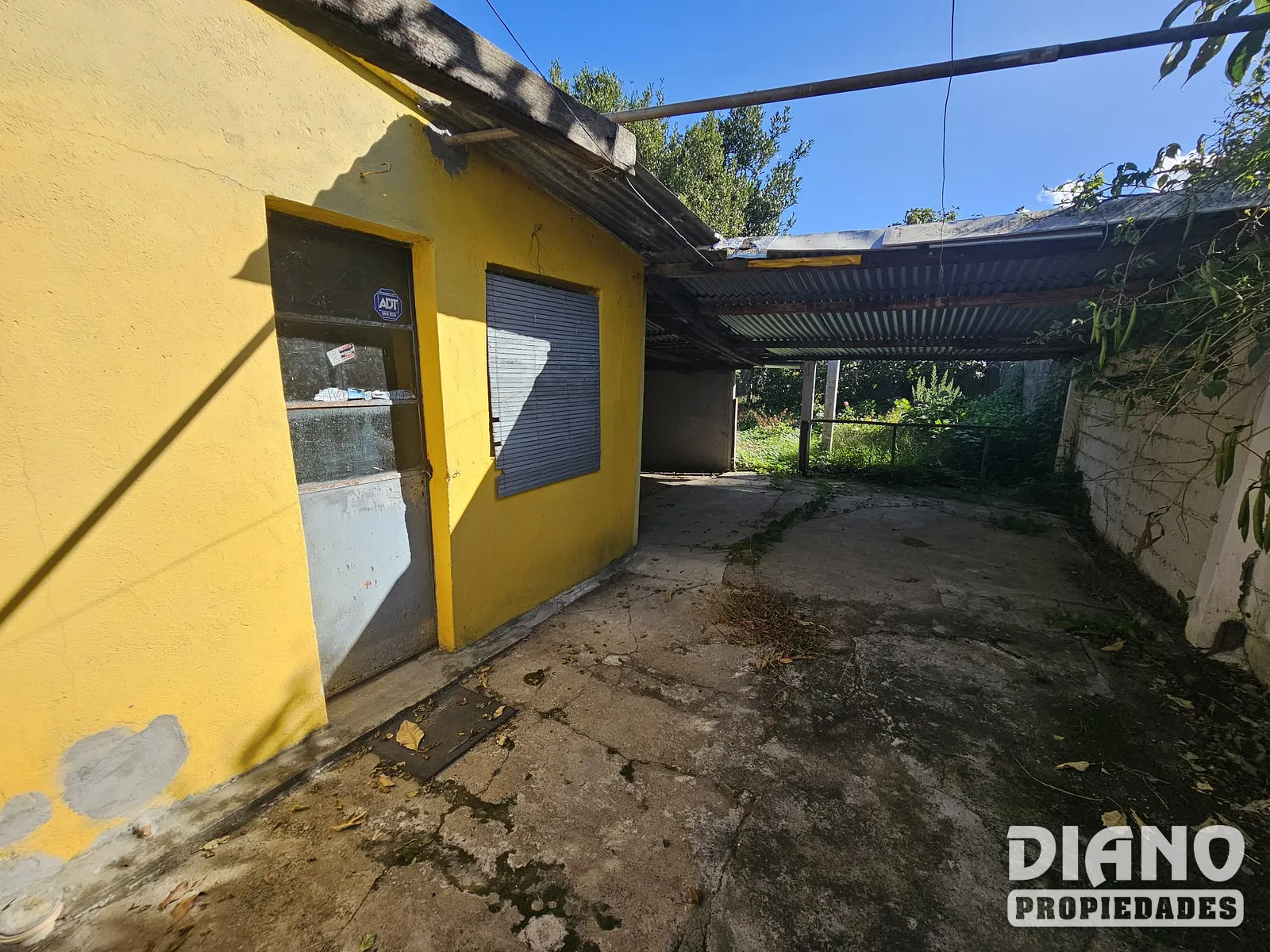 B° Olímpico
