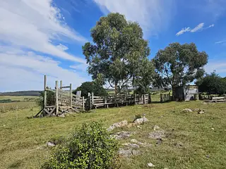 Puntas de Pan de Azúcar, 35 hectáreas con casa