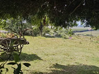 Puntas de Pan de Azúcar, 35 hectáreas con casa