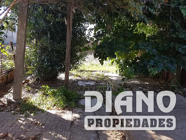 2 casas en el mismo padrón. Para reciclar