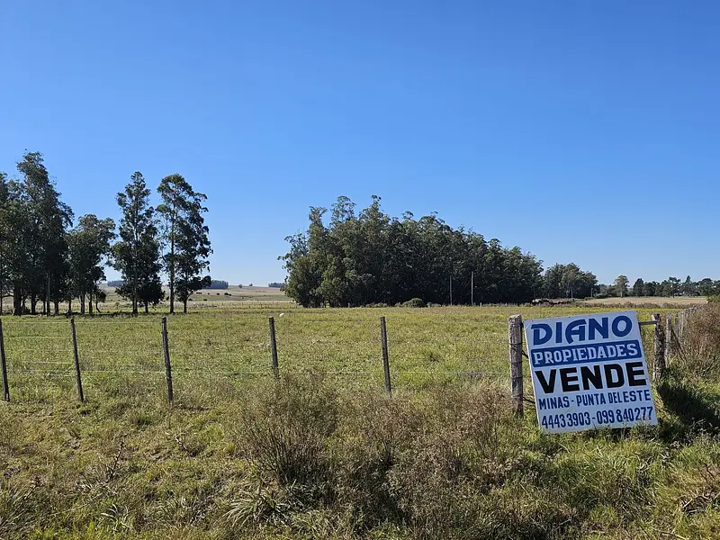 Fraccionamiento, terrenos de 1 hectárea