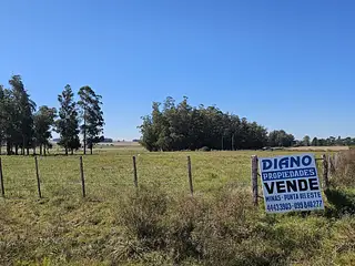 Fraccionamiento, terrenos de 1 hectárea