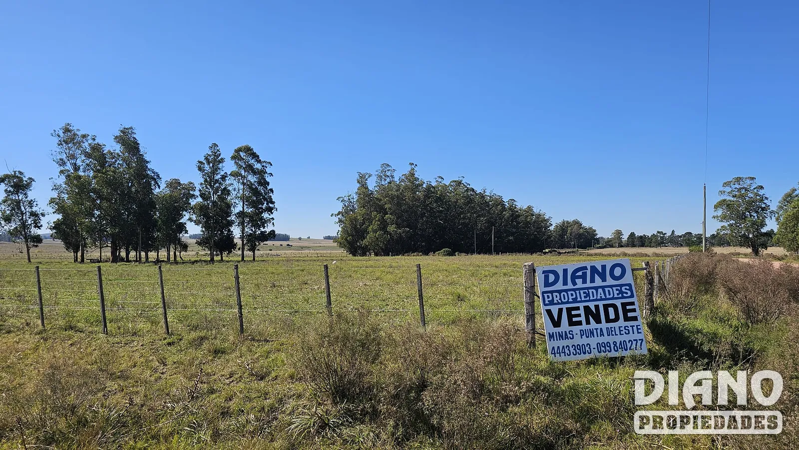Fraccionamiento, terrenos de 1 hectárea