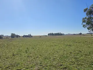 Fraccionamiento, terrenos de 1 hectárea