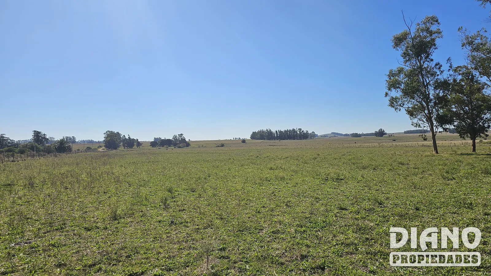 Fraccionamiento, terrenos de 1 hectárea