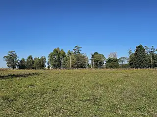Fraccionamiento, terrenos de 1 hectárea