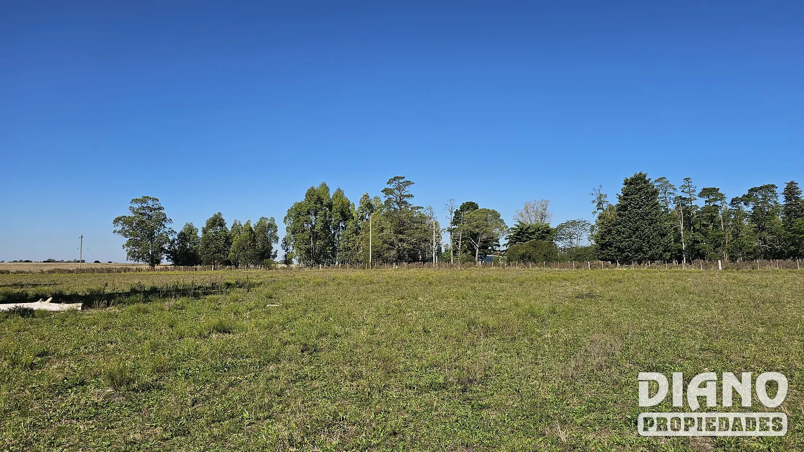 Fraccionamiento, terrenos de 1 hectárea