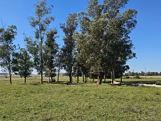 Fraccionamiento, terrenos de 1 hectárea