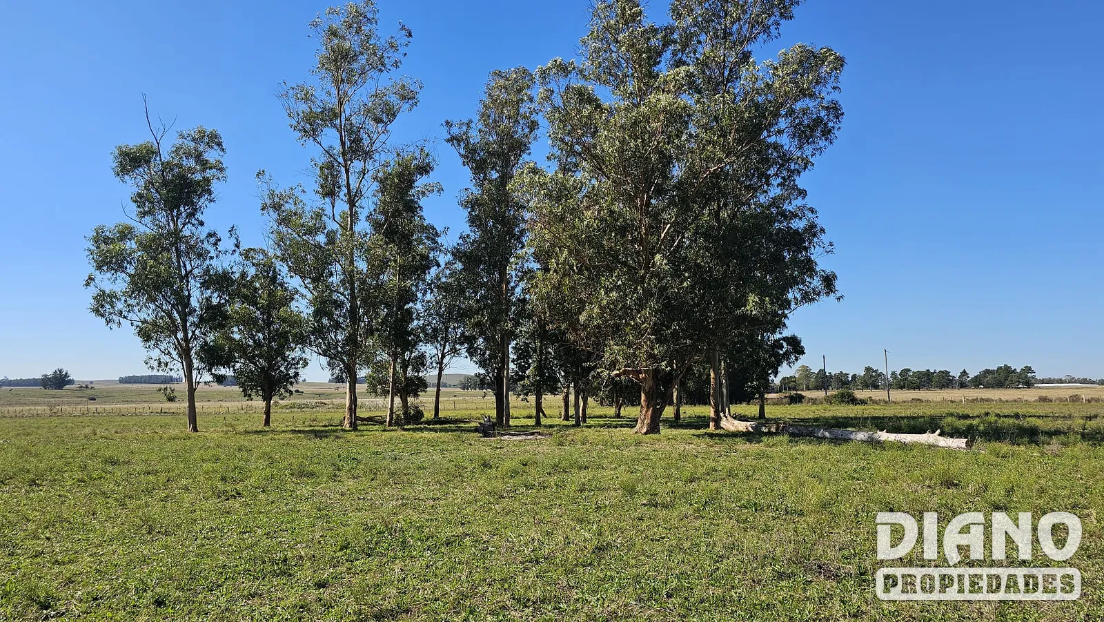 Fraccionamiento, terrenos de 1 hectárea