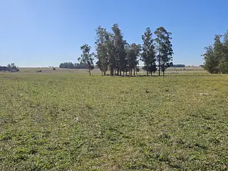 Fraccionamiento, terrenos de 1 hectárea