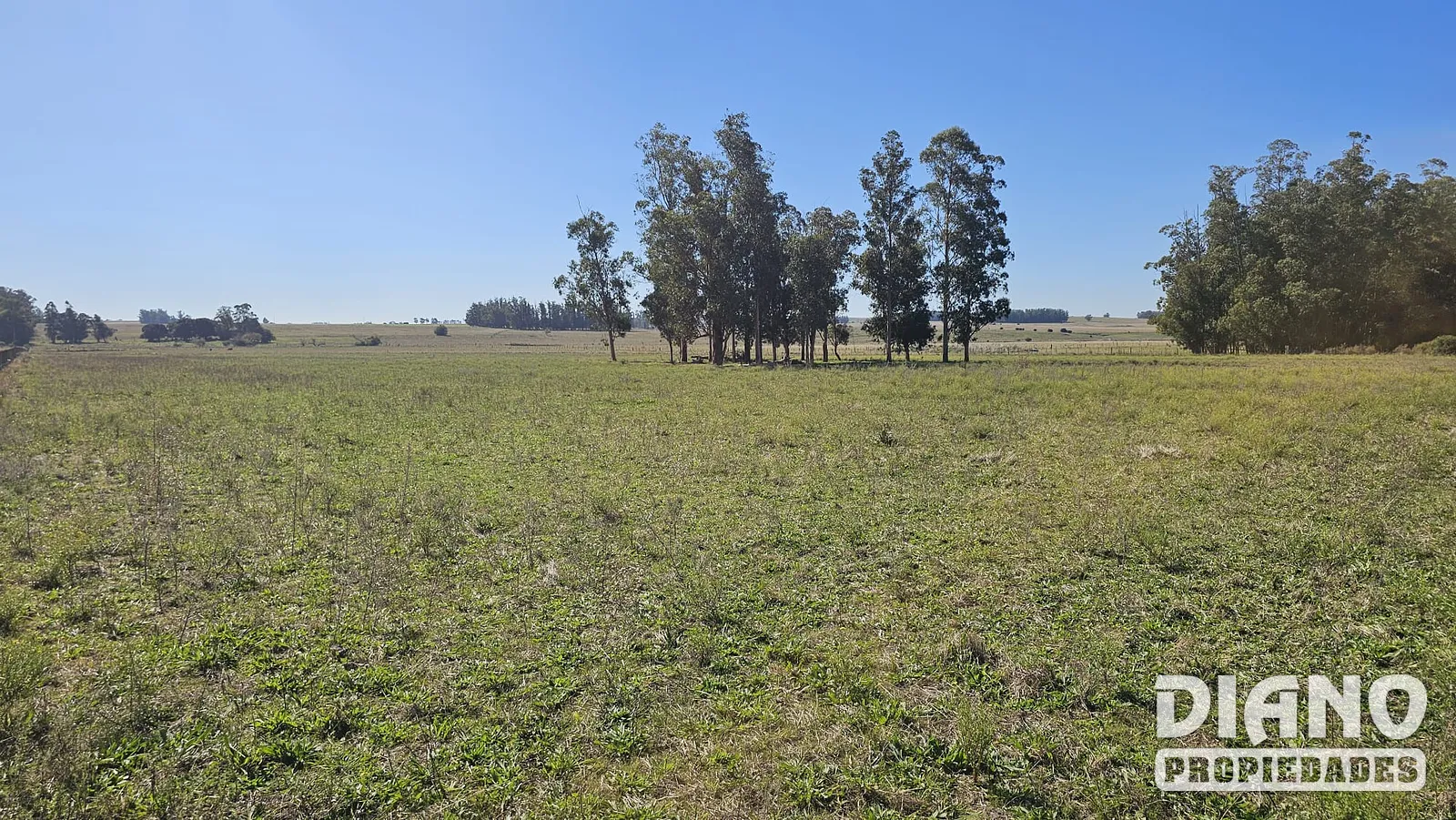 Fraccionamiento, terrenos de 1 hectárea