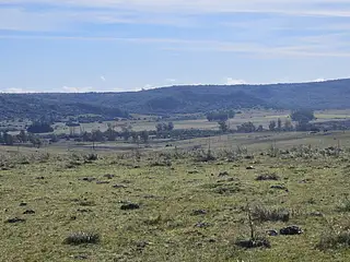 Campo Ganadero/Forestal. Lavalleja.
