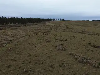 Retamosa, ganadero-forestal