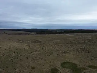 Retamosa, ganadero-forestal