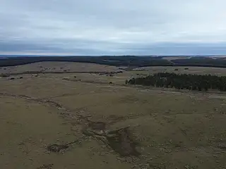 Retamosa, ganadero-forestal